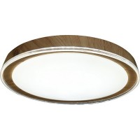 Потолочный светильник Led 10269/S LED