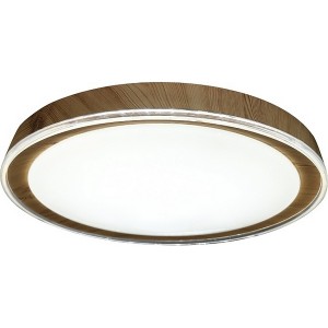 Потолочный светильник Led 10269/S LED