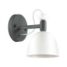 Бра Fiona 3687/1W