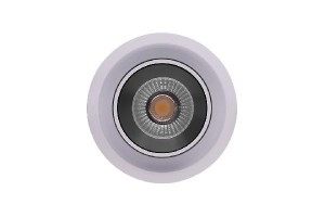 Точечный светильник SPL SPL-R1-12-WW