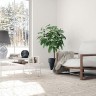 Интерьерная настольная лампа Bernalda Bernalda E 4.1 S
