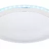 Потолочный светильник Nicole Ii 48395-24