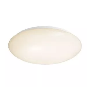 Потолочный светильник Euro LED 342010