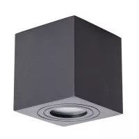 Потолочный светильник уличный Galopin A1461PL-1BK