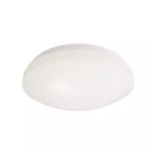 Потолочный светильник Euro LED 348017