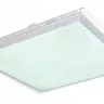 Потолочный светильник Rena 48380-48RGB