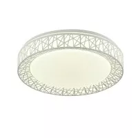 Потолочный светильник Creatura 2314-5C