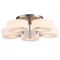 Потолочная люстра Foresta SL483.352.05
