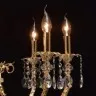 Подвесная люстра Габриэль 491013008