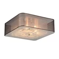 Потолочный светильник Ajur SL940.802.06