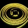 Светодиодная лента  LC-5050-W-12RGB60 IP68