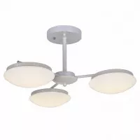 Потолочная люстра Ledante 2475-3P