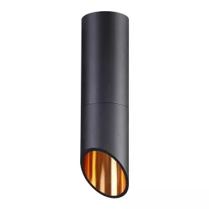 Точечный светильник Prody 4209/1C