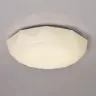 Потолочный светильник Ривз 674014801