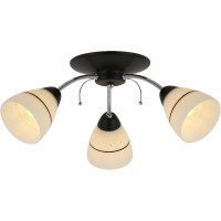 Потолочная люстра Winnifred TL1255D-03BC