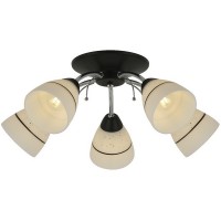 Потолочная люстра Winnifred TL1255D-05BC
