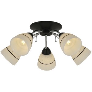 Потолочная люстра Winnifred TL1255D-05BC