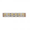 Светодиодная лента LUX DSG5120-24-RGB+NW-33