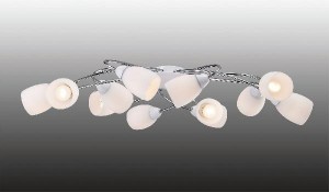 Потолочная люстра Blanca 1042-12U