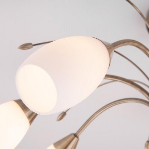 Потолочная люстра Ginevra 30280/8