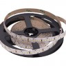 Светодиодная лента  SWG4240-12-24-NW