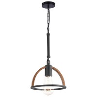 Подвесной светильник Jasmin TL1179H-01BK
