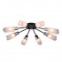 Потолочная люстра Sabina TL3680X-08BC