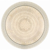 Потолочный светильник Led 10273/S LED