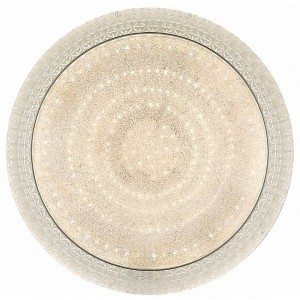Потолочный светильник Led 10273/S LED