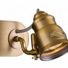 Спот Borgo SP315-CW-02-BS
