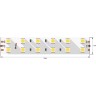Светодиодная лента LUX DSG5120-24-W+WW-33