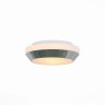 Настенно-потолочный светильник Bagno SL469.502.02