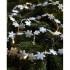 Гирлянда Snostjarna 702942