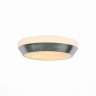 Настенно-потолочный светильник Bagno SL469.502.03