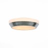 Настенно-потолочный светильник Bagno SL469.502.03
