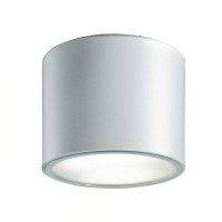 Точечный светильник Net Range 63002