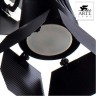 Спот Cinema A3092AP-2BK