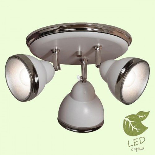 Спот Littleton GRLSN-6211-03