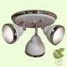 Спот Littleton GRLSN-6211-03