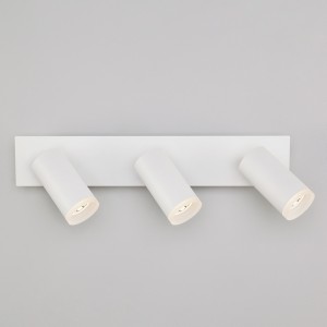 Спот Holly 20067/3 LED