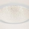 Потолочная люстра Shine 40011/1 LED