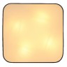 Потолочный светильник Clarke 15229D8