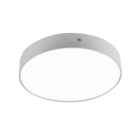 Потолочный светильник Flashled 2065-30C