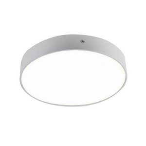 Потолочный светильник Flashled 2065-30C