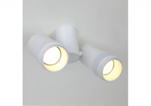 Спот Kinescope 2453-2U