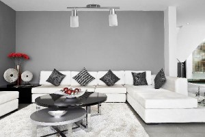 Спот Cavalletta A4510PL-2SS