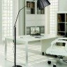 Торшер Prizze LDF 316 BK