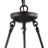 Подвесная люстра Conte FR4166-PL-03C-BL
