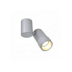 Спот Kinescope 2454-1U