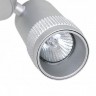 Спот Kinescope 2454-1U